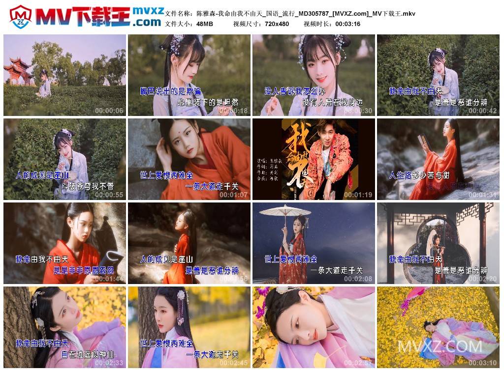 陈雅森-我命由我不由天_国语_流行_MD305787